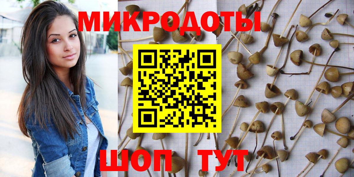 Галлюциногенные грибы Cubensis Еманжелинск